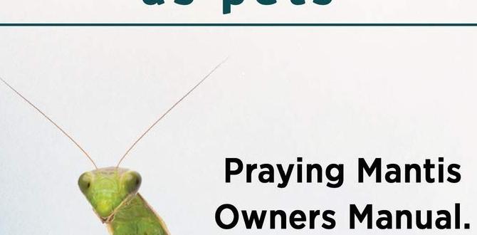 Purchasing and introducing praying mantises praying mantis for gardens Purchasing and introducing praying mantises praying mantis for gardens