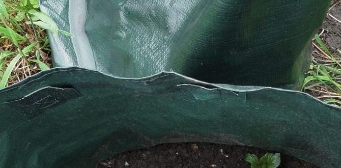 Purchasing considerations bags for gardening Purchasing considerations bags for gardening