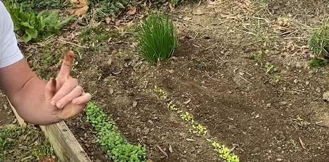Reallife case studies and experiments is mushroom compost good for gardens Reallife case studies and experiments is mushroom compost good for gardens