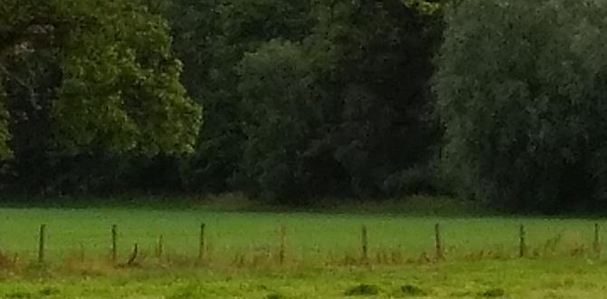 Reallife case studies and success stories electric fencing for gardens Reallife case studies and success stories electric fencing for gardens