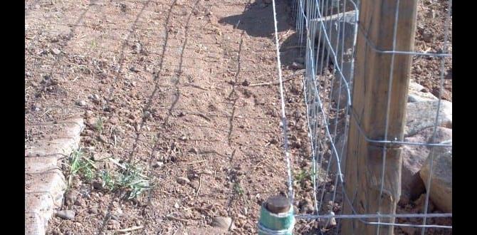 Reallife case studies electric fence kits for gardens Reallife case studies electric fence kits for gardens