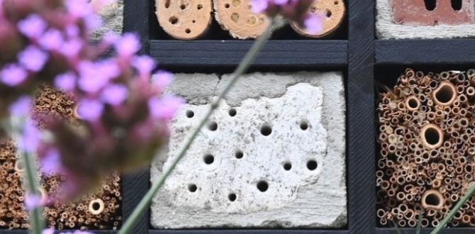 Reallife examples and case studies bug hotels for gardens Reallife examples and case studies bug hotels for gardens