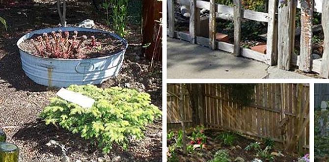 Reallife examples and case studies metal borders for gardens