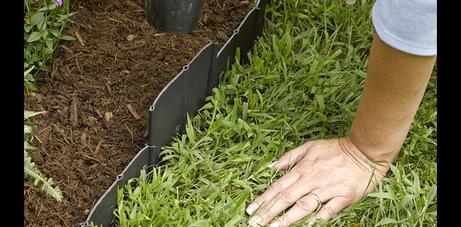 Reallife examples and case studies pound in edging for gardens Reallife examples and case studies pound in edging for gardens