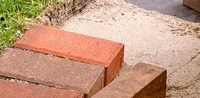 Reallife examples and inspirations brick borders for gardens Reallife examples and inspirations brick borders for gardens