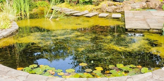 Reallife examples of raised ponds in small gardens raised pond ideas for small gardens Reallife examples of raised ponds in small gardens raised pond ideas for small gardens