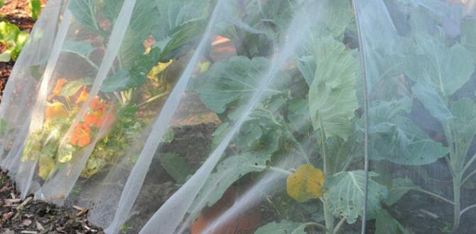 Reallife experiences: using fleece in gardening fleece for gardening Reallife experiences: using fleece in gardening fleece for gardening