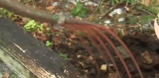 Reallife gardening scenarios: crowbar success stories crowbar tool for gardening Reallife gardening scenarios: crowbar success stories crowbar tool for gardening