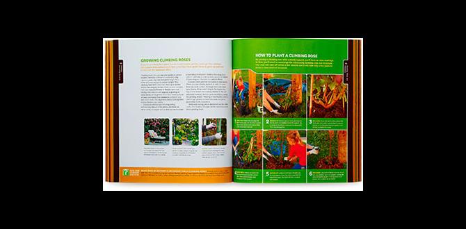 Reallife success stories and case studies planter gardening for beginners