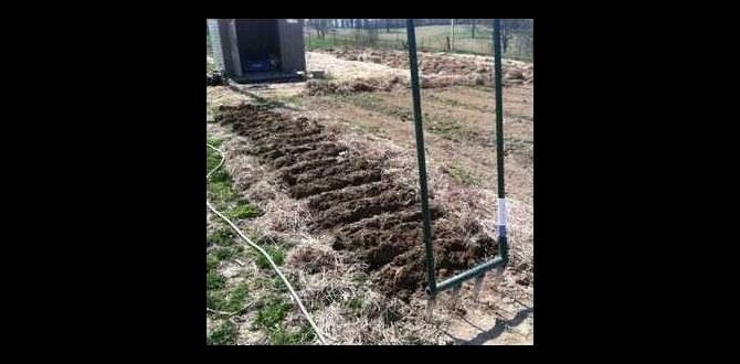 Reallife success stories with broad forks broad fork for gardening Reallife success stories with broad forks broad fork for gardening