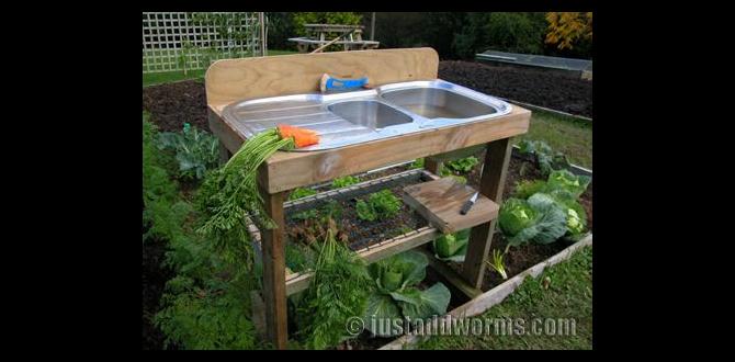 Realworld examples and inspiration outside sink for gardening Realworld examples and inspiration outside sink for gardening