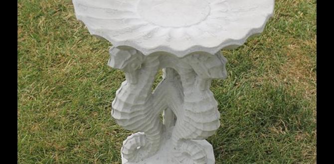 Recommended small bird baths on the market small bird baths for gardens Recommended small bird baths on the market small bird baths for gardens