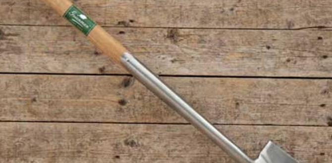 Recommended spades for different gardening styles spade for gardening Recommended spades for different gardening styles spade for gardening