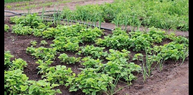 Related practices and their terminologies another name for gardening Related practices and their terminologies another name for gardening