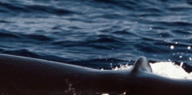 Renting tips for prospective tenants homes for rent in hawaiian gardens ca Renting tips for prospective tenants homes for rent in hawaiian gardens ca