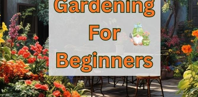 Resources and communities for beginners patio gardening for beginners Resources and communities for beginners patio gardening for beginners
