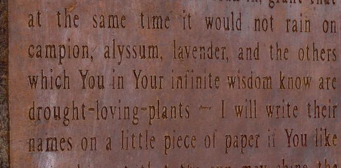 Resources for deepening your spiritual gardening journey prayer for gardeners Resources for deepening your spiritual gardening journey prayer for gardeners