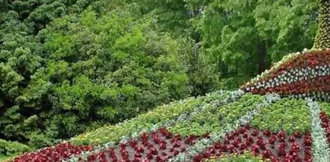 Resources for further learning gardens for disabled Resources for further learning gardens for disabled