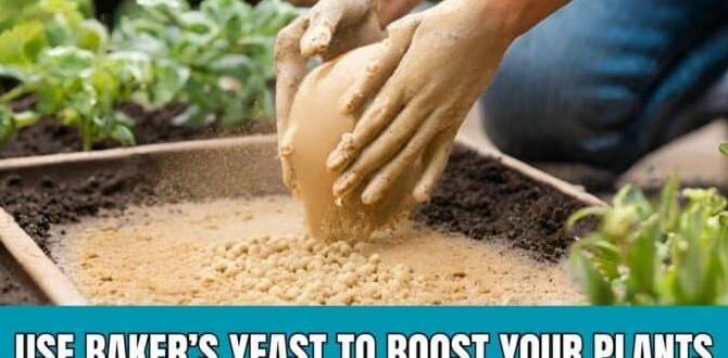 Resources for further learning on yeast and gardening yeast for gardening Resources for further learning on yeast and gardening yeast for gardening