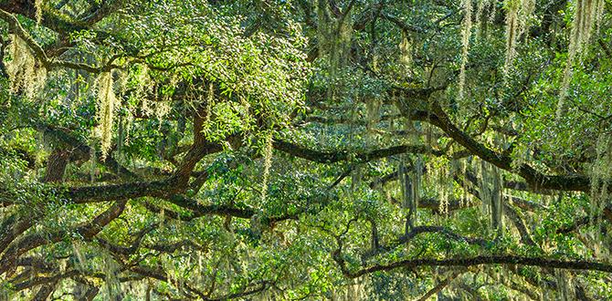 Resources for georgia gardeners gardening in georgia for beginners Resources for georgia gardeners gardening in georgia for beginners