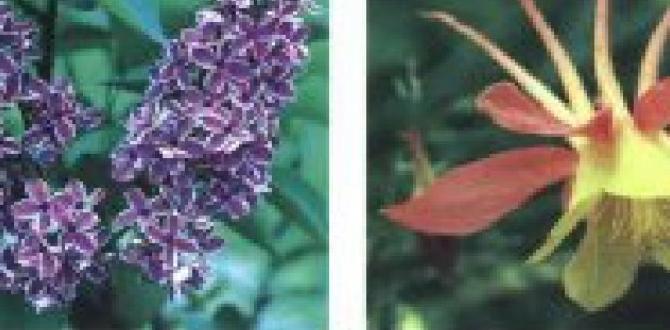 Resources for nj gardeners what zone is nj in for gardening Resources for nj gardeners what zone is nj in for gardening