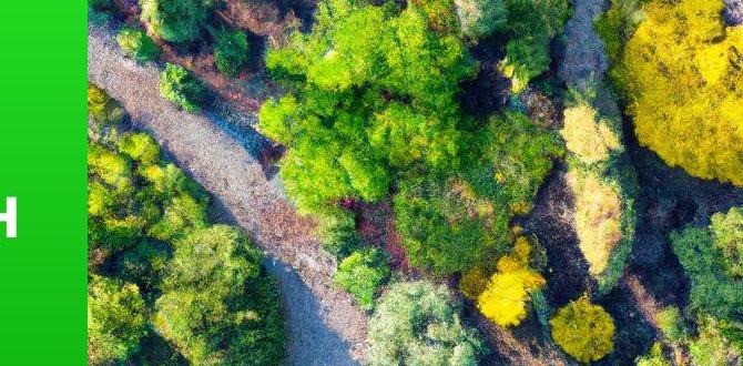 Resources for north carolina gardeners what zone is nc in for gardening Resources for north carolina gardeners what zone is nc in for gardening