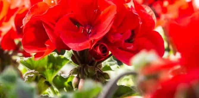 Resources for spring gardening success when to start gardening for spring Resources for spring gardening success when to start gardening for spring