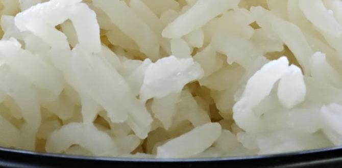 Rice hulls as a mulch: pros and cons rice hulls for gardening Rice hulls as a mulch: pros and cons rice hulls for gardening