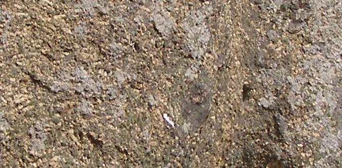 Rock gardens: creating miniature landscapes ideas for gardens with stones Rock gardens: creating miniature landscapes ideas for gardens with stones