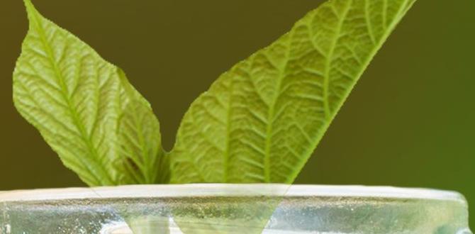 Saving and sharing your own seeds free seeds for gardening Saving and sharing your own seeds free seeds for gardening