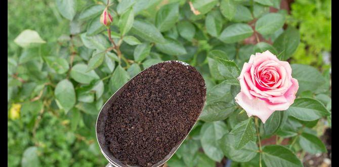 Scientific studies and research on coffee grounds in gardening are coffee grounds good for gardening