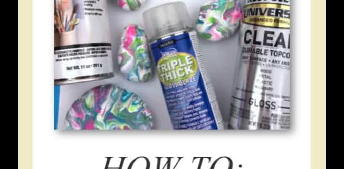 Sealing and protecting your painted rocks painting rocks for gardens Sealing and protecting your painted rocks painting rocks for gardens
