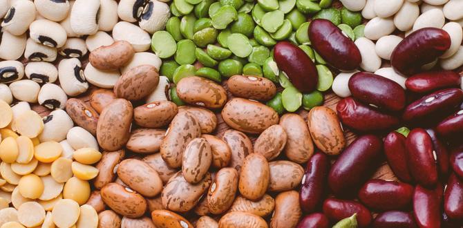 Seeds and plants selection what do i need for gardening Seeds and plants selection what do i need for gardening