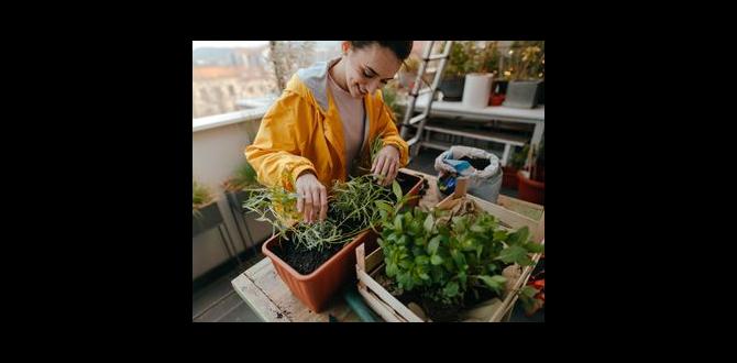 Selecting plants for pot gardening pot gardening for beginners Selecting plants for pot gardening pot gardening for beginners