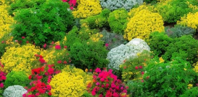 Selecting plants for your climate zone climate zones for gardening Selecting plants for your climate zone climate zones for gardening