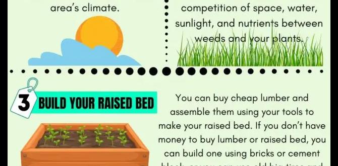 Selecting plants for your raised bed garden raised bed gardening for beginners Selecting plants for your raised bed garden raised bed gardening for beginners