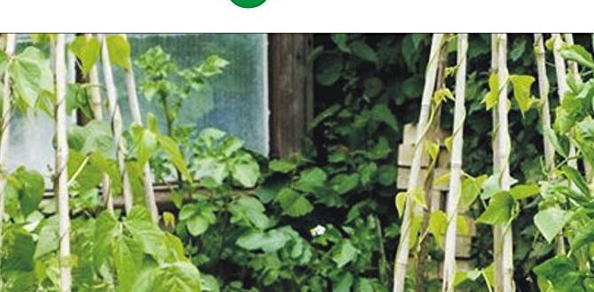 Selecting plants for your raised bed raised bed gardening for beginners book Selecting plants for your raised bed raised bed gardening for beginners book