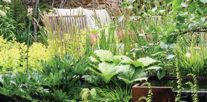 Selecting plants that thrive in limited areas japanese gardens for small spaces Selecting plants that thrive in limited areas japanese gardens for small spaces