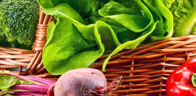 Selecting the best vegetables for pots pot vegetable gardening for beginners Selecting the best vegetables for pots pot vegetable gardening for beginners