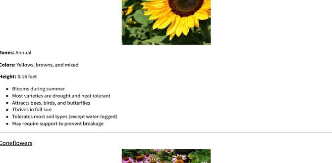 Selecting the right flowers flower gardening for beginners Selecting the right flowers flower gardening for beginners