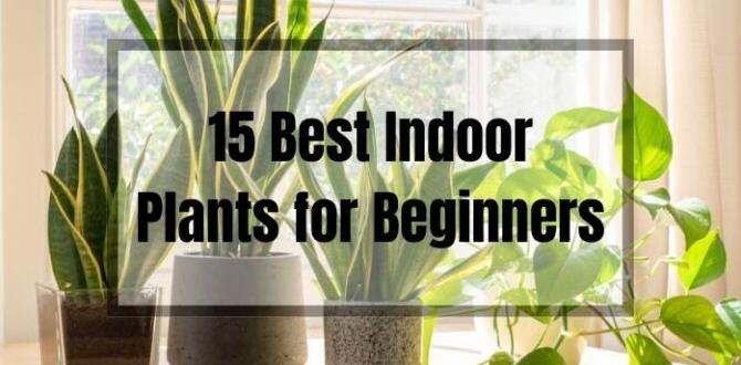 Selecting the right indoor plants gardening indoors for beginners