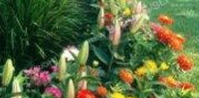 Selecting the right plants gardening ideas for small front yard