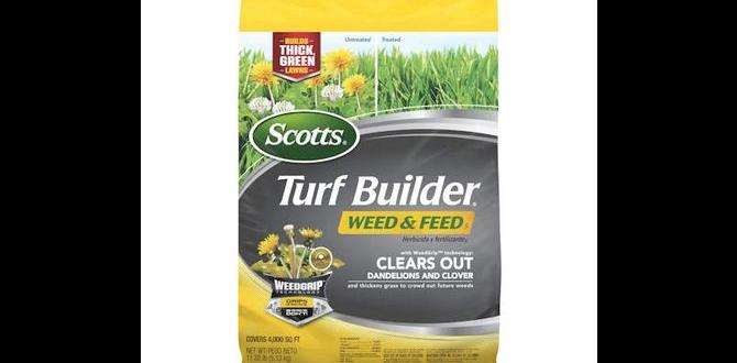 Selecting the right weed and feed product weed and feed for gardens Selecting the right weed and feed product weed and feed for gardens