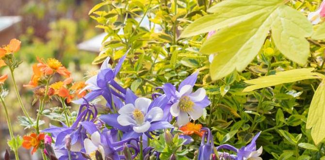 Selecting the right zone for your garden zone for gardening Selecting the right zone for your garden zone for gardening