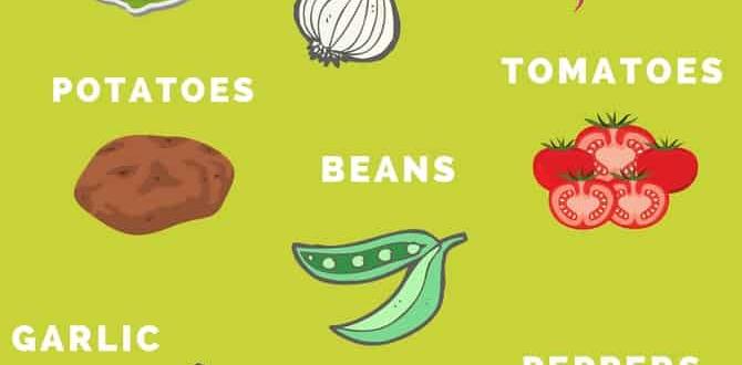 Selecting vegetables to grow vegetable gardens for beginners