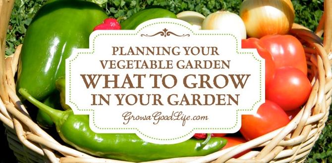 Selecting vegetables to grow veggie gardening for beginners Selecting vegetables to grow veggie gardening for beginners