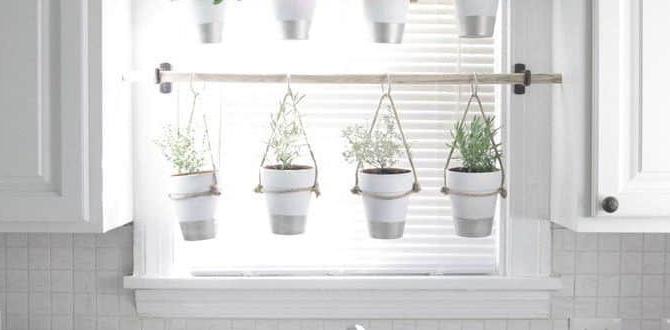 Showcase of unique herb container designs container ideas for herb gardens Showcase of unique herb container designs container ideas for herb gardens