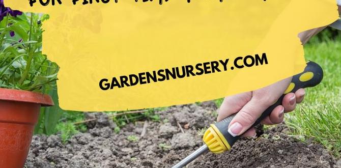 Showcase your garden: tips for homeowners gardens pictures for homes Showcase your garden: tips for homeowners gardens pictures for homes
