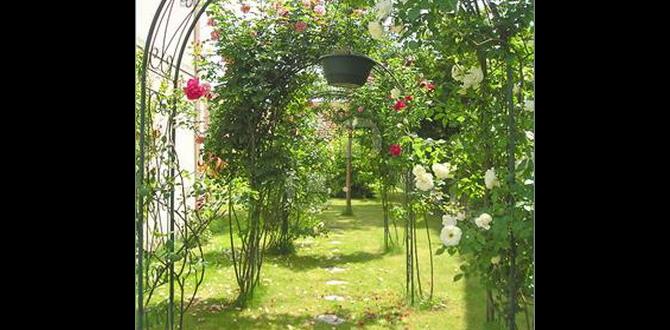 Showcasing archways in various garden styles archways for gardens