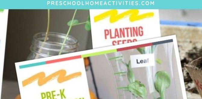 Showcasing learning outcomes from gardening activities gardening theme for preschool Showcasing learning outcomes from gardening activities gardening theme for preschool